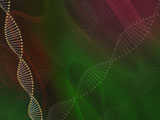 PowerPoint Templates - DNA Designs