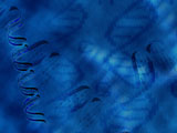 PowerPoint Templates - Genetics