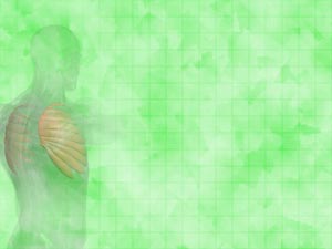 Serratus Anterior Muscle Title Content PowerPoint Template