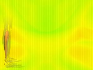 Soleus Muscle Title Content PowerPoint Template