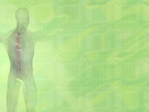 Spinalis Muscle Title Content PowerPoint Template