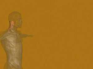 Splenius Cervicis Muscle Title Content PowerPoint Template