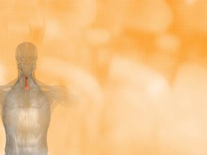 Sternohyoid Muscle Title Content PowerPoint Template