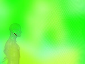 Stylohyoid Muscle Title Content PowerPoint Template