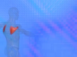 Subscapularis Muscle Title Content PowerPoint Template