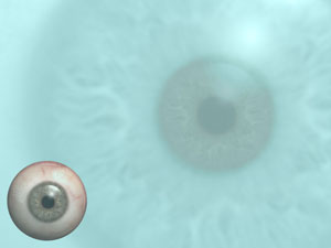 Retina (Eye) Title Content PowerPoint Template