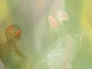 Temporal Muscle Title Content PowerPoint Template