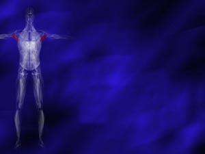 Teres Major Muscle Title Content PowerPoint Template