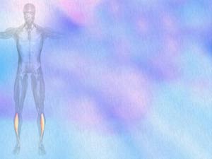 Tibialis Anterior Muscle Title Content PowerPoint Template