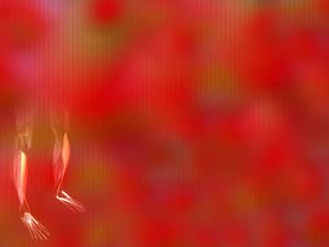 Tibialis Anterior Muscle Title Content PowerPoint Template