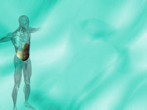 Transversus Abdominis Muscle Title Content PowerPoint Template