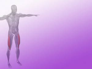 Vastus Lateralis Muscle Title Content PowerPoint Template