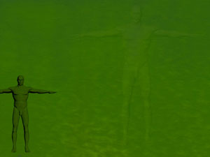 Skin Genitals Title Content PowerPoint Template