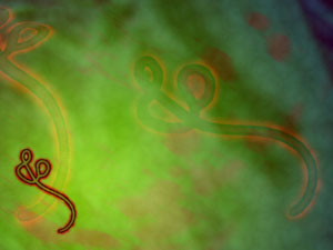 Ebola Virus Title Content PowerPoint Template