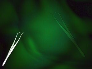 Dental Tweezer Title Content PowerPoint Template