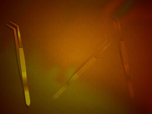 Dental Tweezer Title Content PowerPoint Template