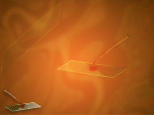 Microscope Slides Title Content PowerPoint Template