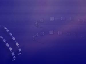 Dental Braces Title Content PowerPoint Template