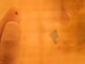 Blood (Blood Sample) Title Content PowerPoint Template