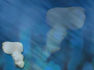 Tailbone Title Content PowerPoint Template