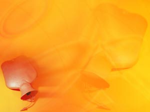 Hot Water Bottle Title Content PowerPoint Template