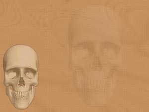 Cranium (Skull) Title Content PowerPoint Template