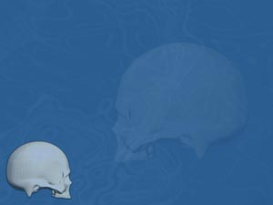 Cranium (Skull Without Jawbone) Title Content PowerPoint Template