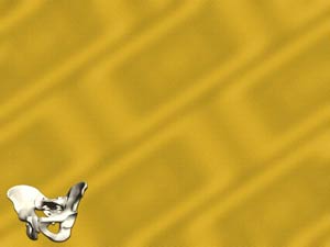 Male Pelvic Girdle Title Content PowerPoint Template