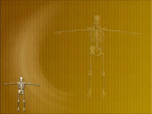 Human Skeleton Title Content PowerPoint Template