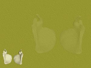 Scapula (Shoulder Blade) Title Content PowerPoint Template