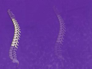 Thoracic Region Title Content PowerPoint Template