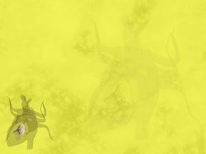 Mitral Valve (Bicuspid Valve) Title Content PowerPoint Template