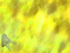 Mitral Valve (Bicuspid Valve) Title Content PowerPoint Template