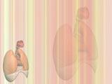 Respiratory System Medicine PowerPoint Templates