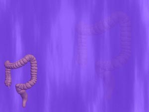 Colon Title Content PowerPoint Template