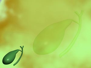 Gallbladder Title Content PowerPoint Template