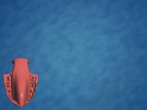 Mouth Inner Title Content PowerPoint Template