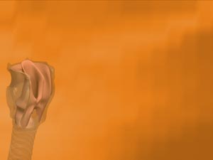 Epiglottis Title Content PowerPoint Template