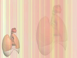 Respiratory System Title Content PowerPoint Template