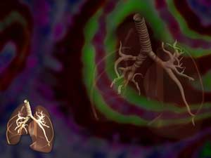 Trachea Title Content PowerPoint Template