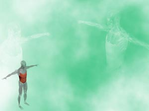 Abdominal Oblique Muscle Title Content PowerPoint Template