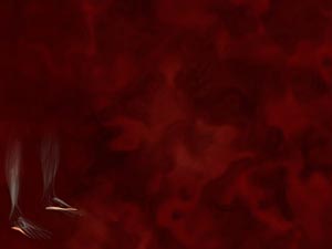 Abductor Digiti Minimi Muscle Title Content PowerPoint Template