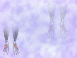 Abductor Digiti Minimi Muscle Title Content PowerPoint Template