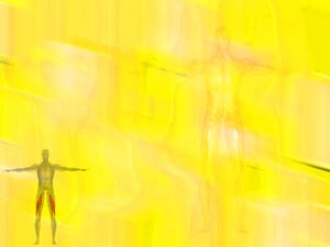 Biceps Femoris Muscle Title Content PowerPoint Template