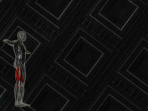 Biceps Femoris Muscle Title Content PowerPoint Template