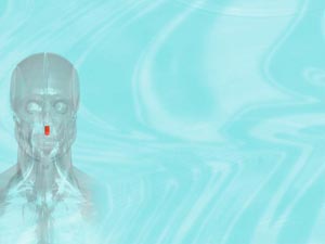 Depressor Septi Nasi Muscle Title Content PowerPoint Template