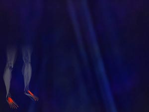 Extensor Hallucis Brevis Muscle Title Content PowerPoint Template