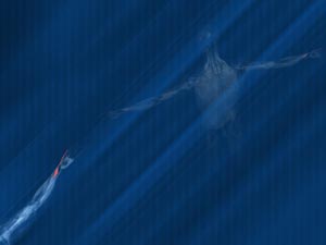 Extensor Indicis Muscle Title Content PowerPoint Template