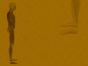 Flexor Digitorum Brevis Muscle Title Content PowerPoint Template