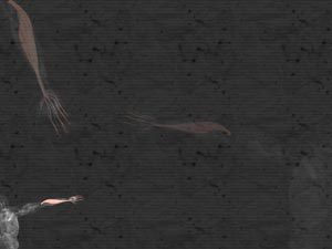 Flexor Digitorum Superficialis Muscle Title Content PowerPoint Template